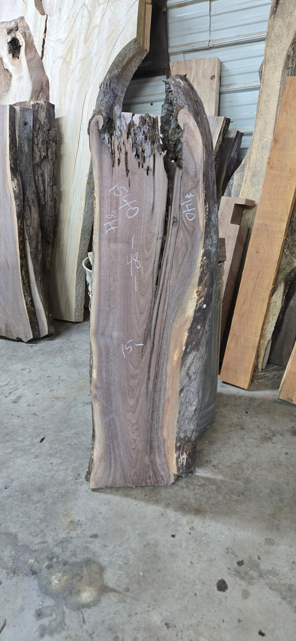 1540 Walnut Slab