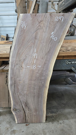 1297 Walnut Slab