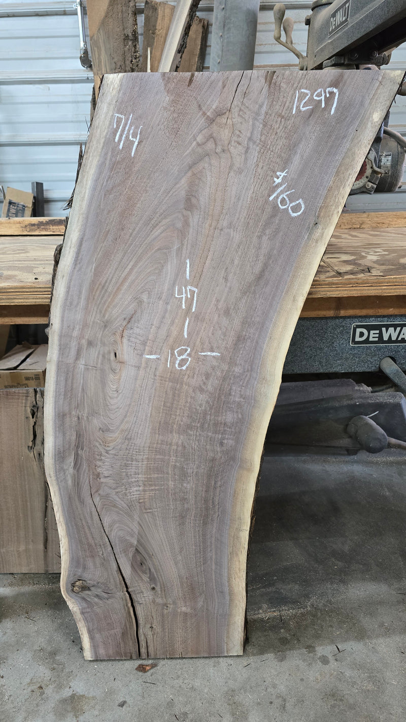 1297 Walnut Slab