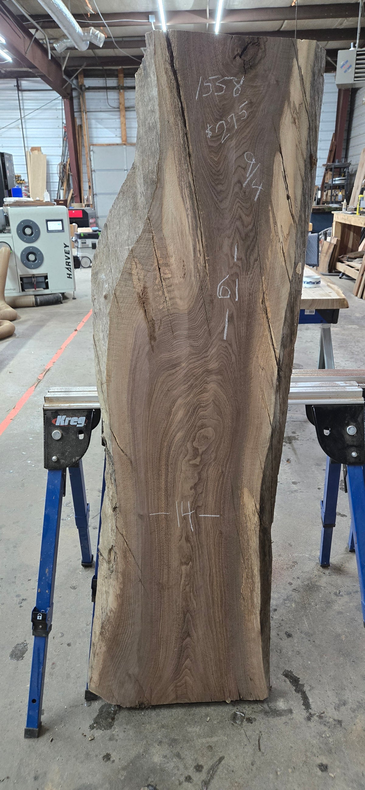 Walnut live edge slab #1558, view 1