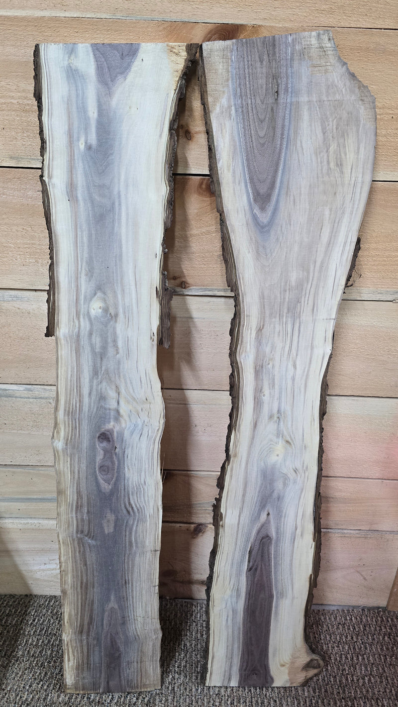 1333 Walnut DIY Bundle