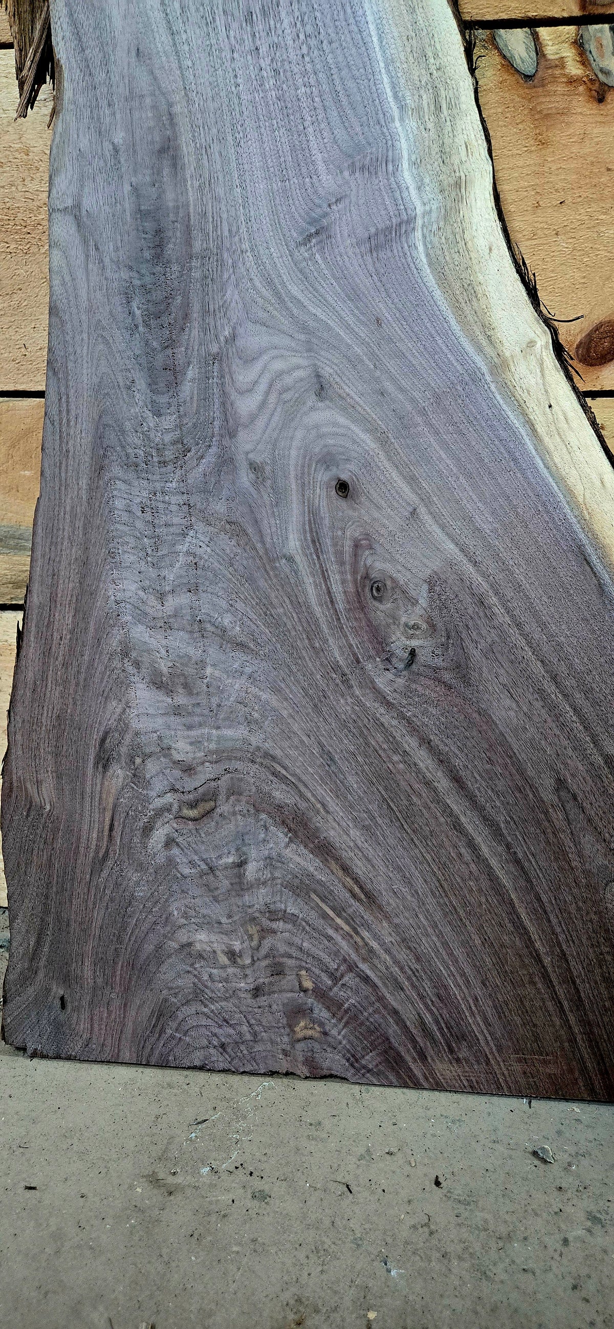 Walnut live edge slab #1773, view 5