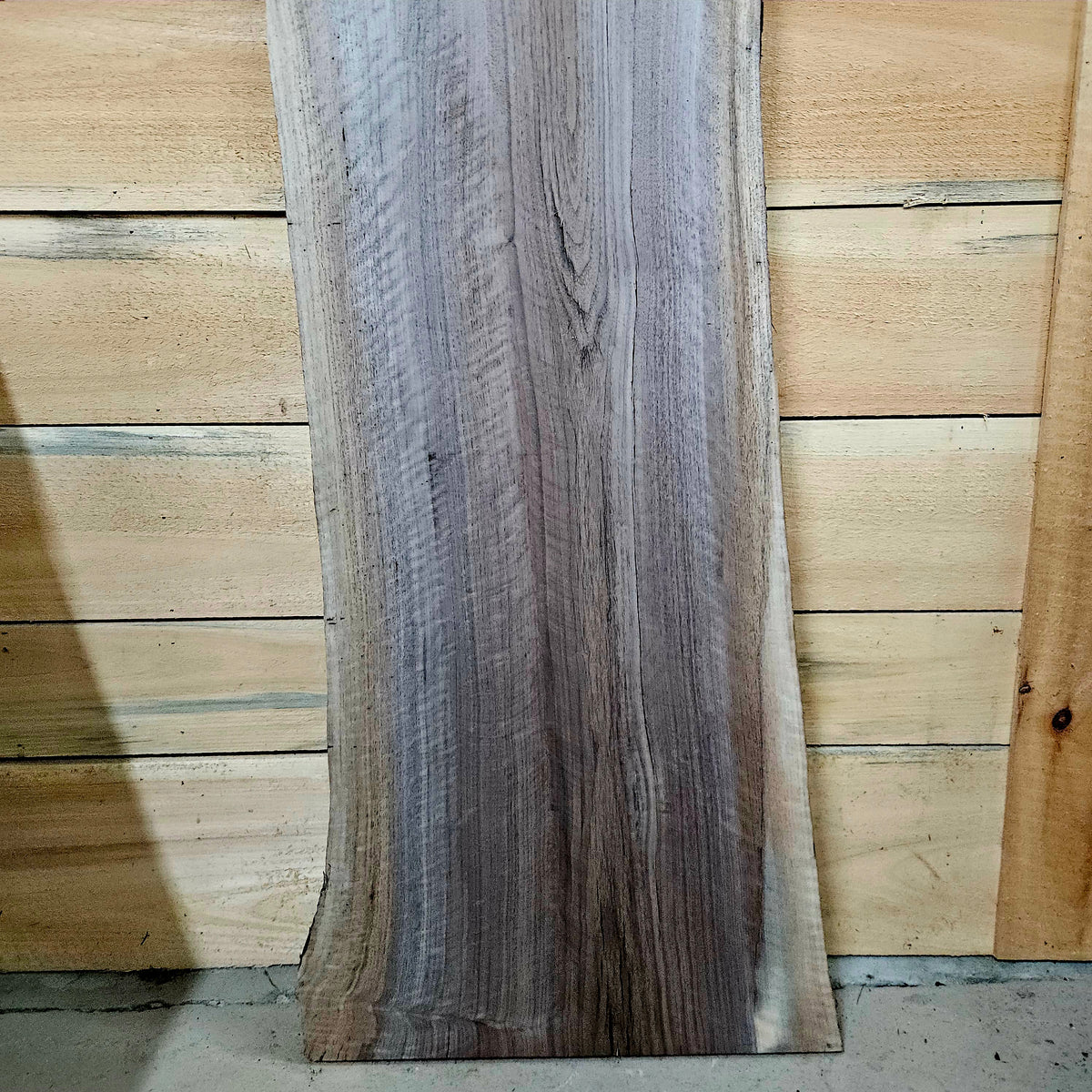 1953 Walnut Live Edge Slab – 52" × 15" × 8/4"