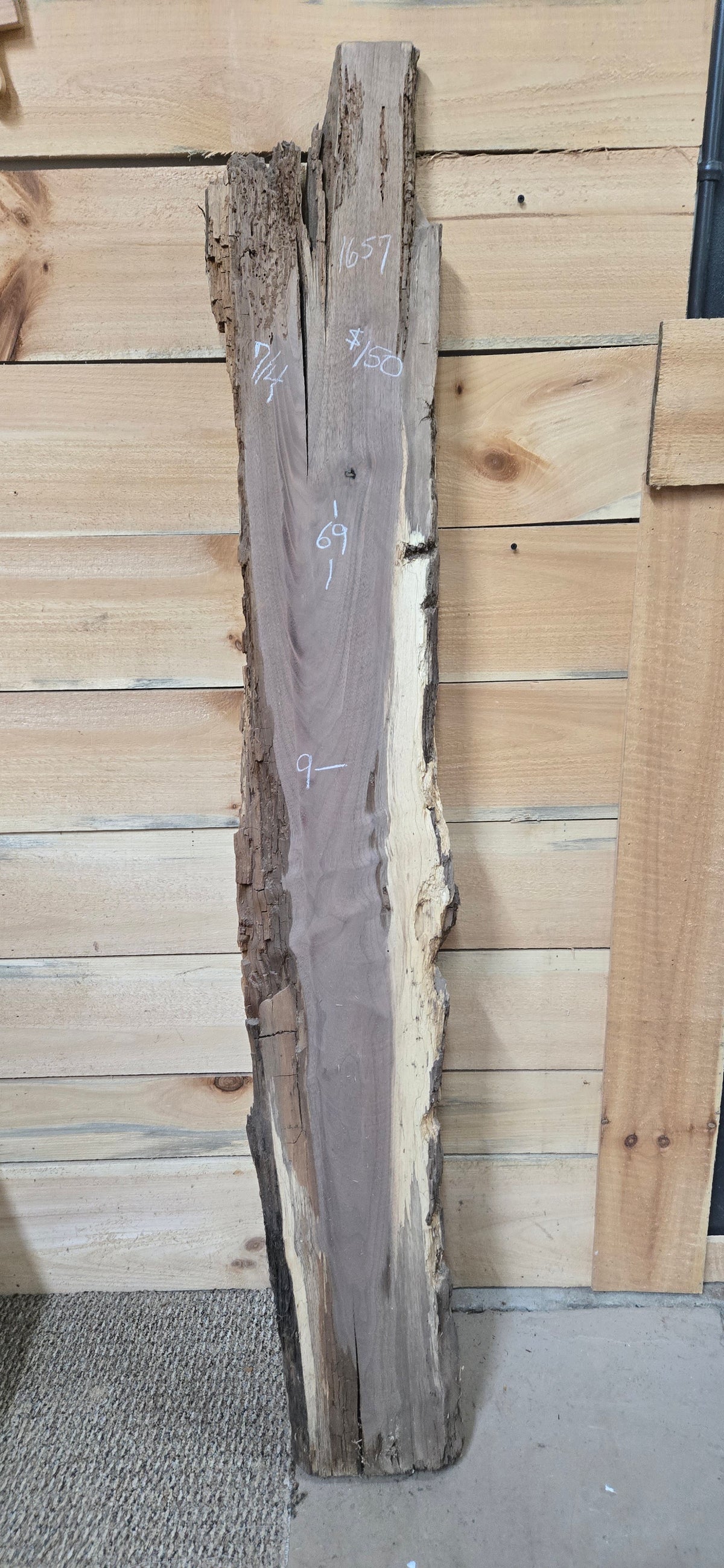 Walnut live edge slab #1657, view 1