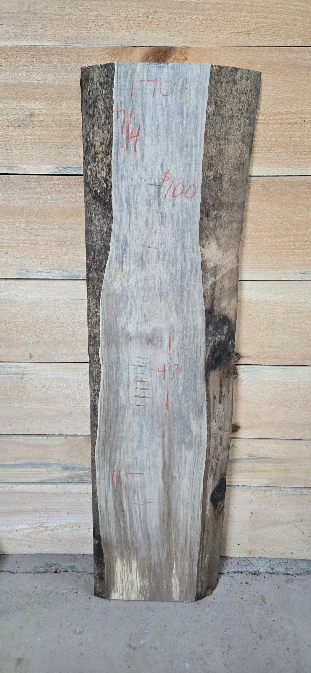 Walnut live edge slab #1703, view 1