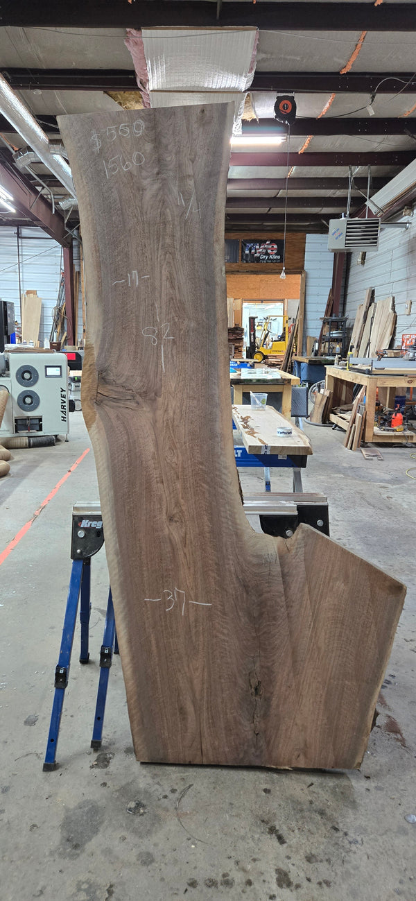 1560 Walnut Slab