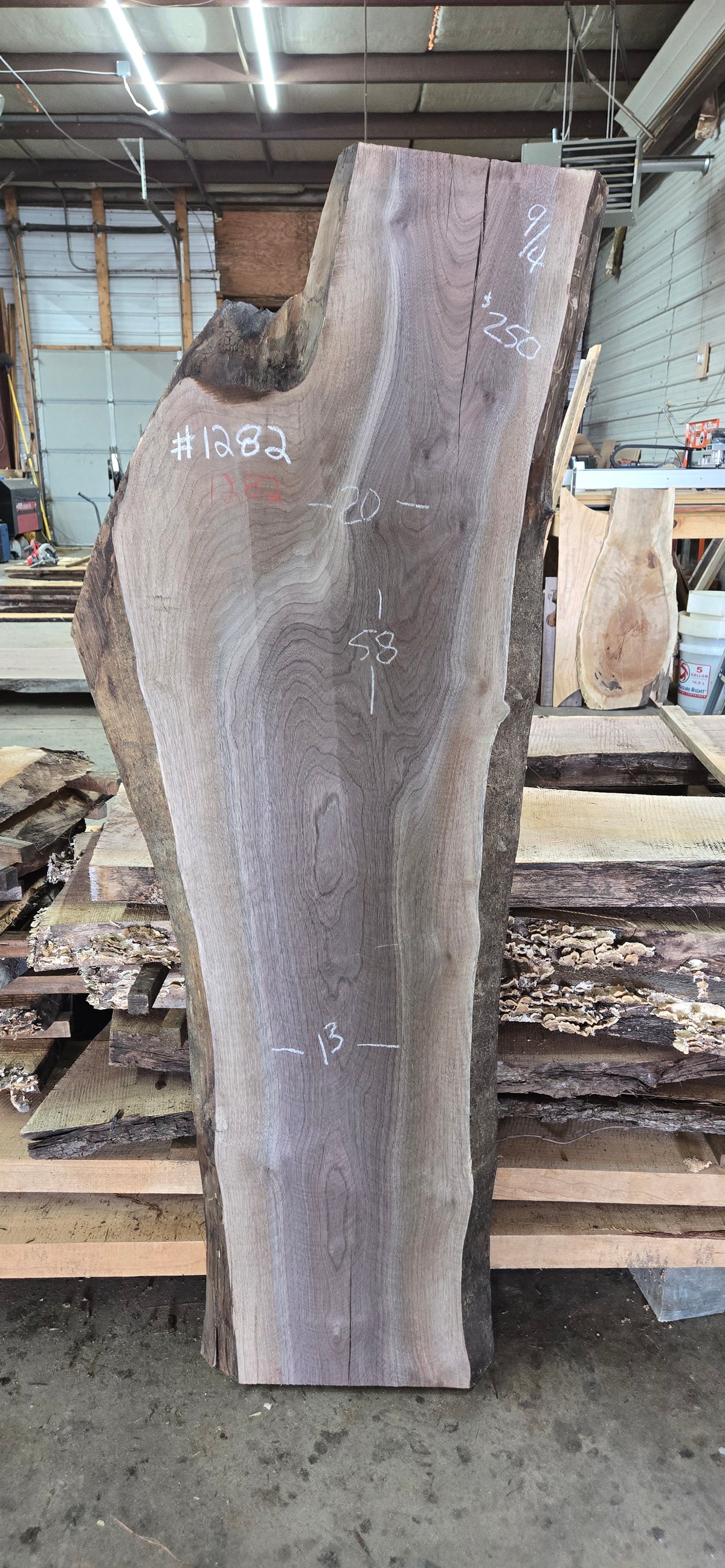 Walnut live edge slab #1282, view 1