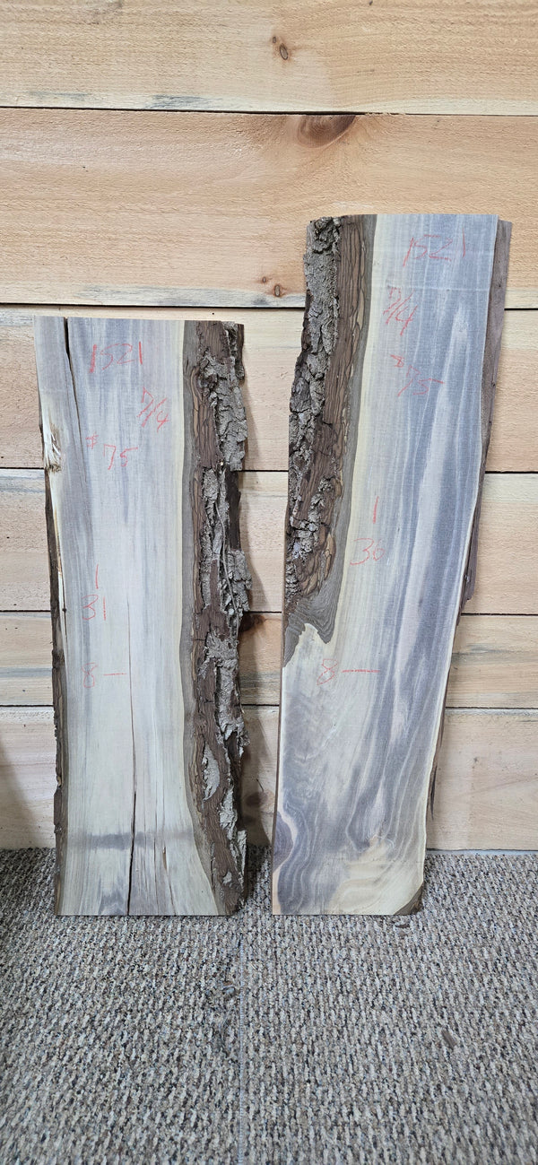 1521 Walnut DIY Bundle