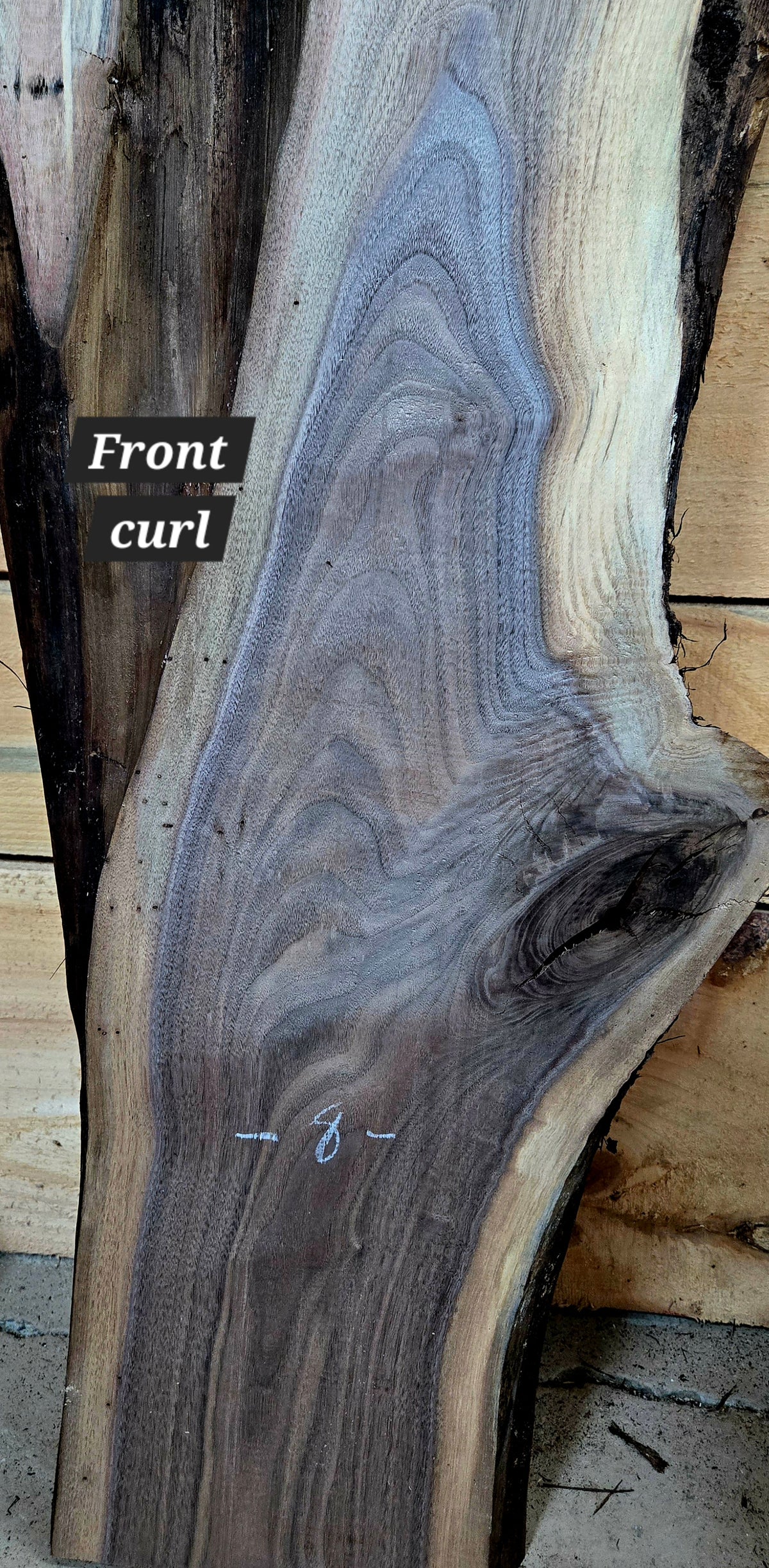 1891 Walnut 2-Piece DIY Wood Bundle, view 4