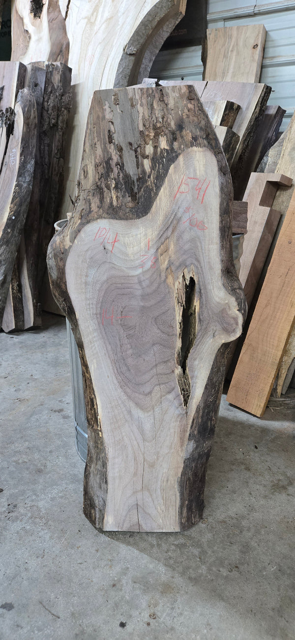 1541 Walnut Slab