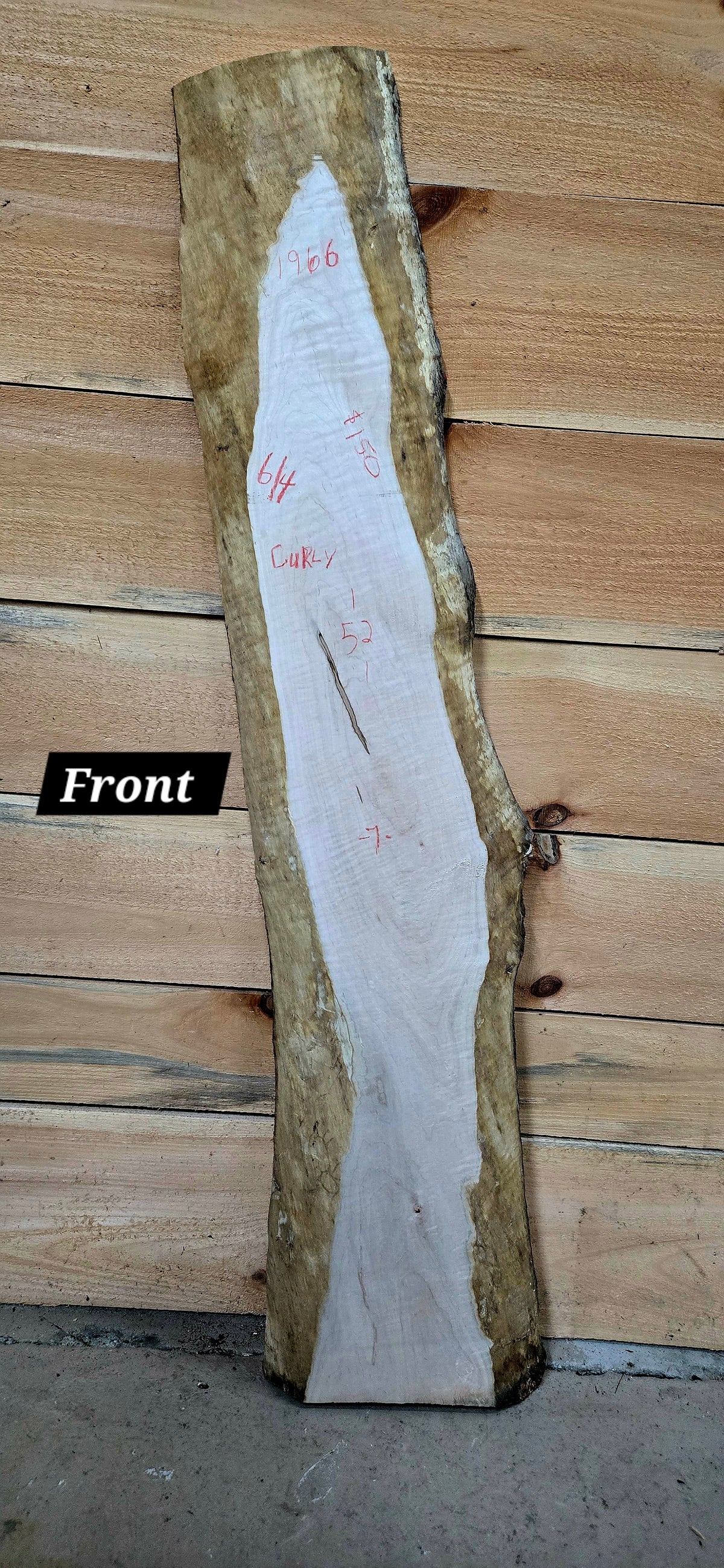1966 Curly Maple Live Edge Slab – 52" x 5" - 7" × 6/4"