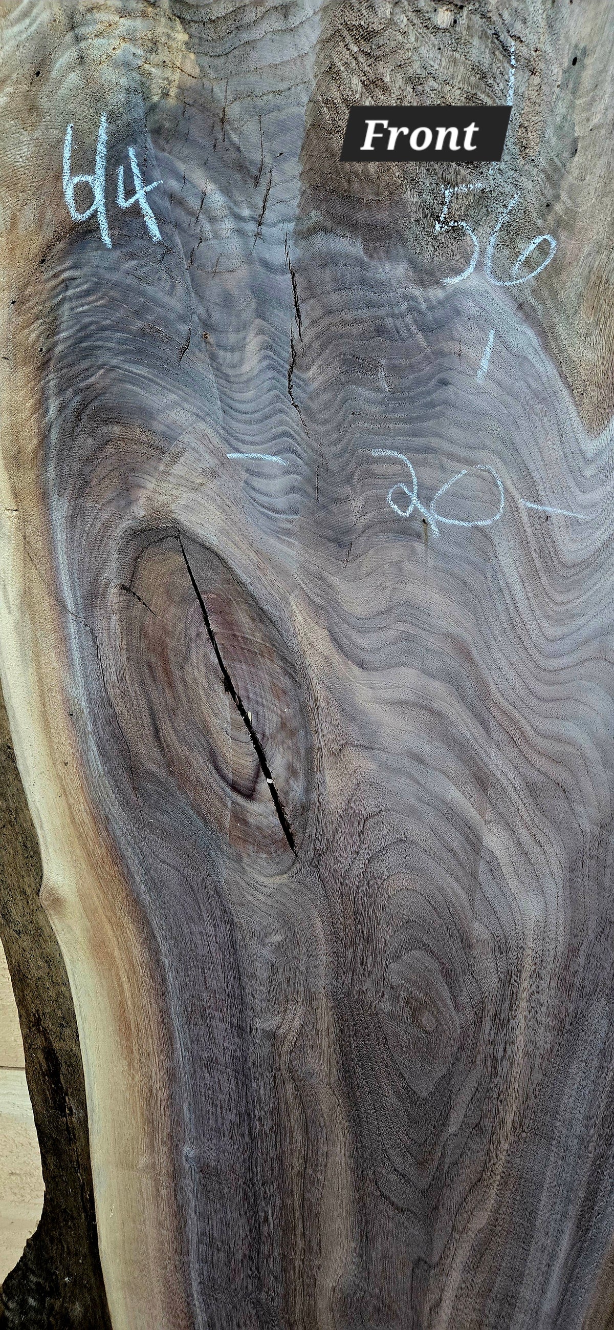 1828 Walnut live edge slab – product image 2