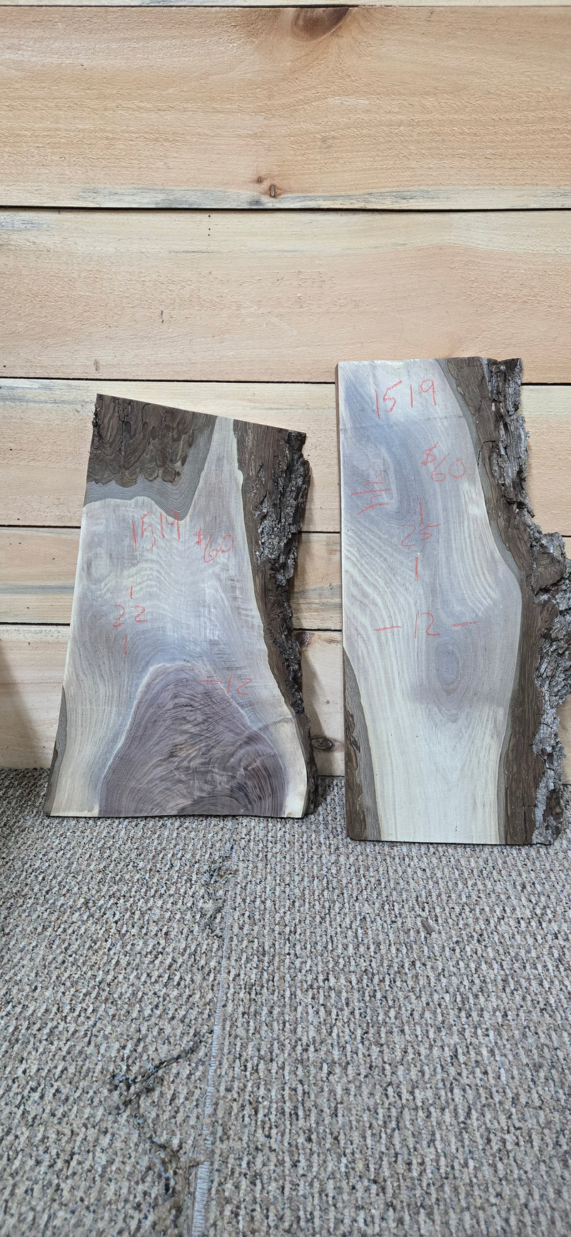 1519 Walnut DIY Bundle