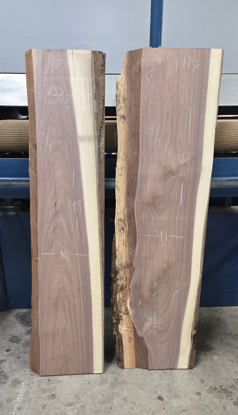 1568 Walnut DIY Bundle