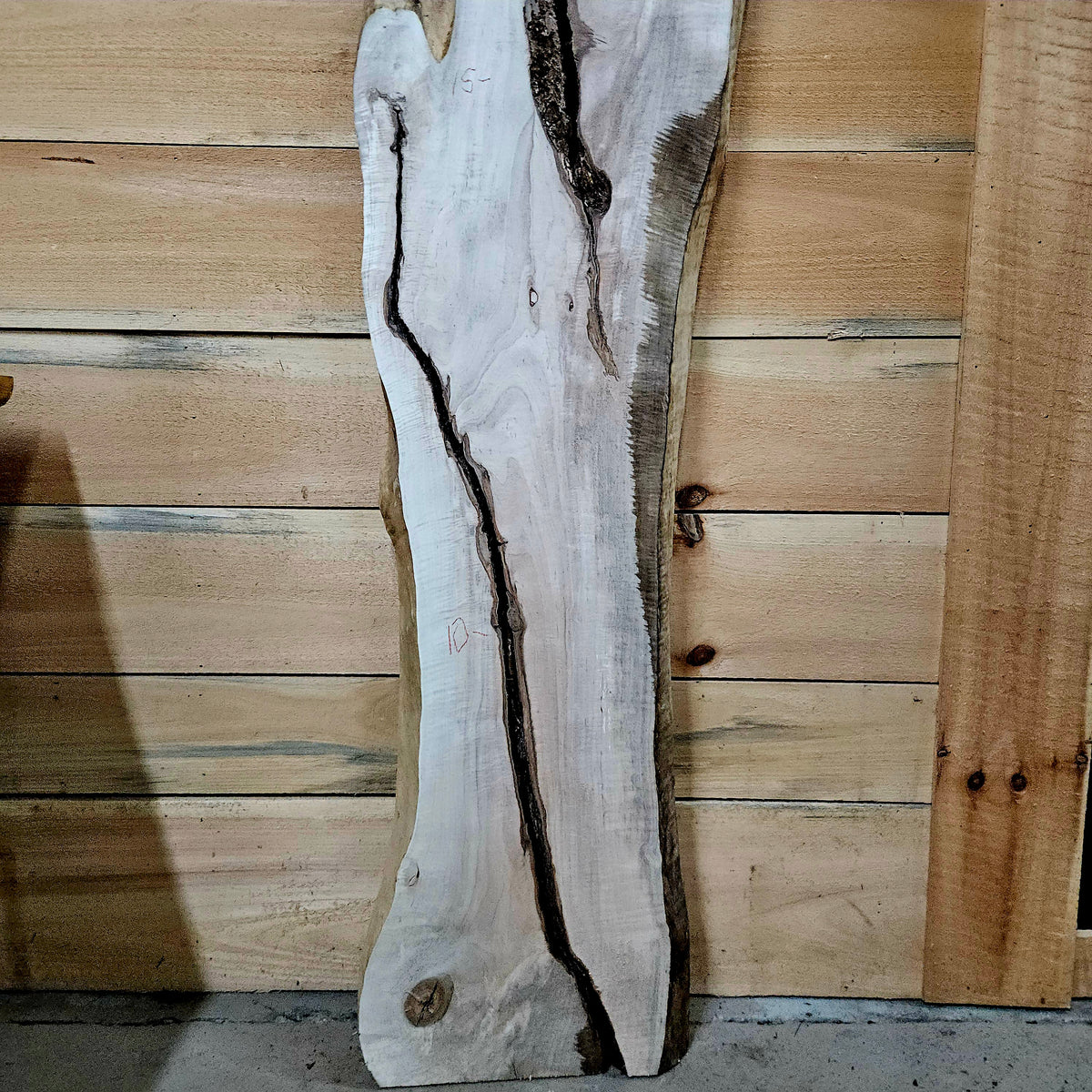1959 Curly Maple Live Edge Slab – 66" x 10 - 15" × 7/4"