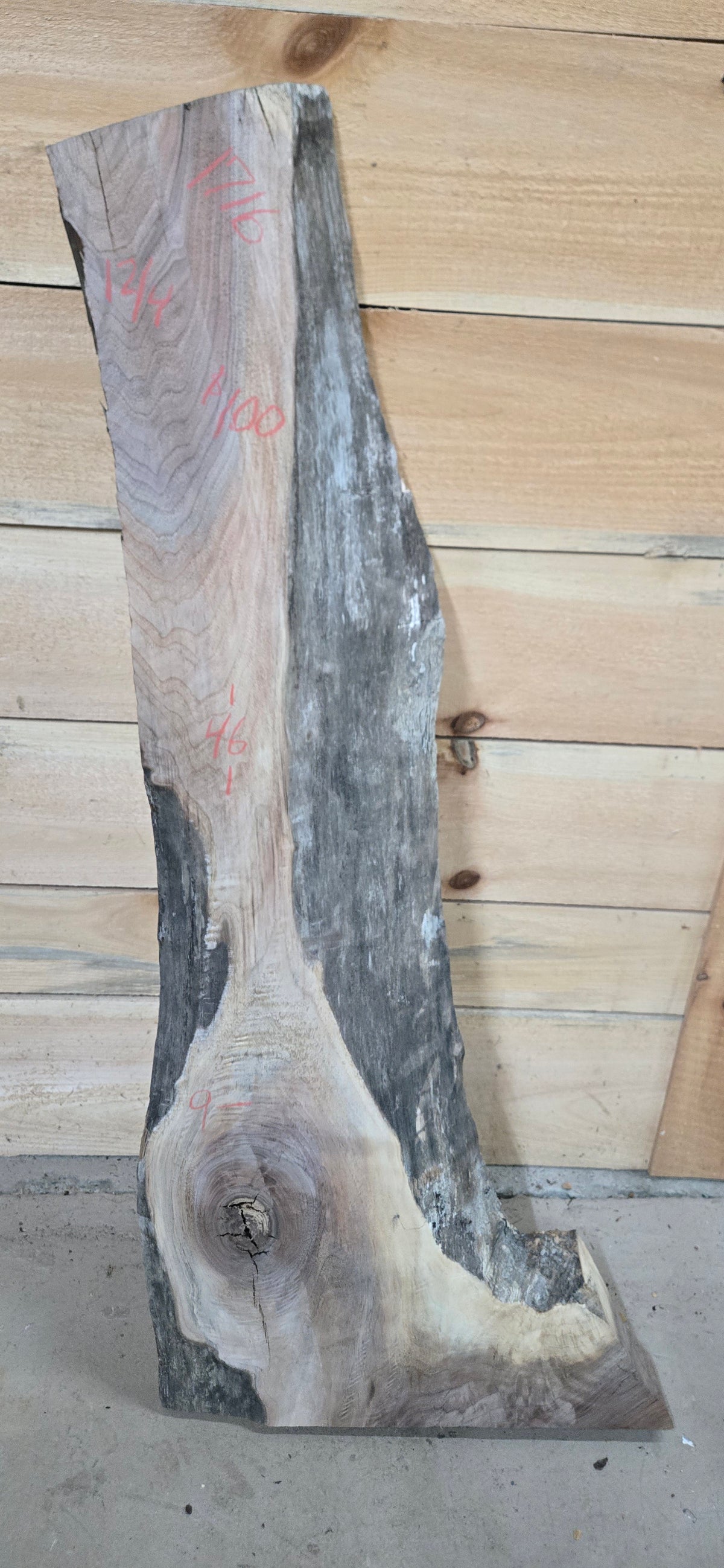 Walnut live edge slab #1716, view 1