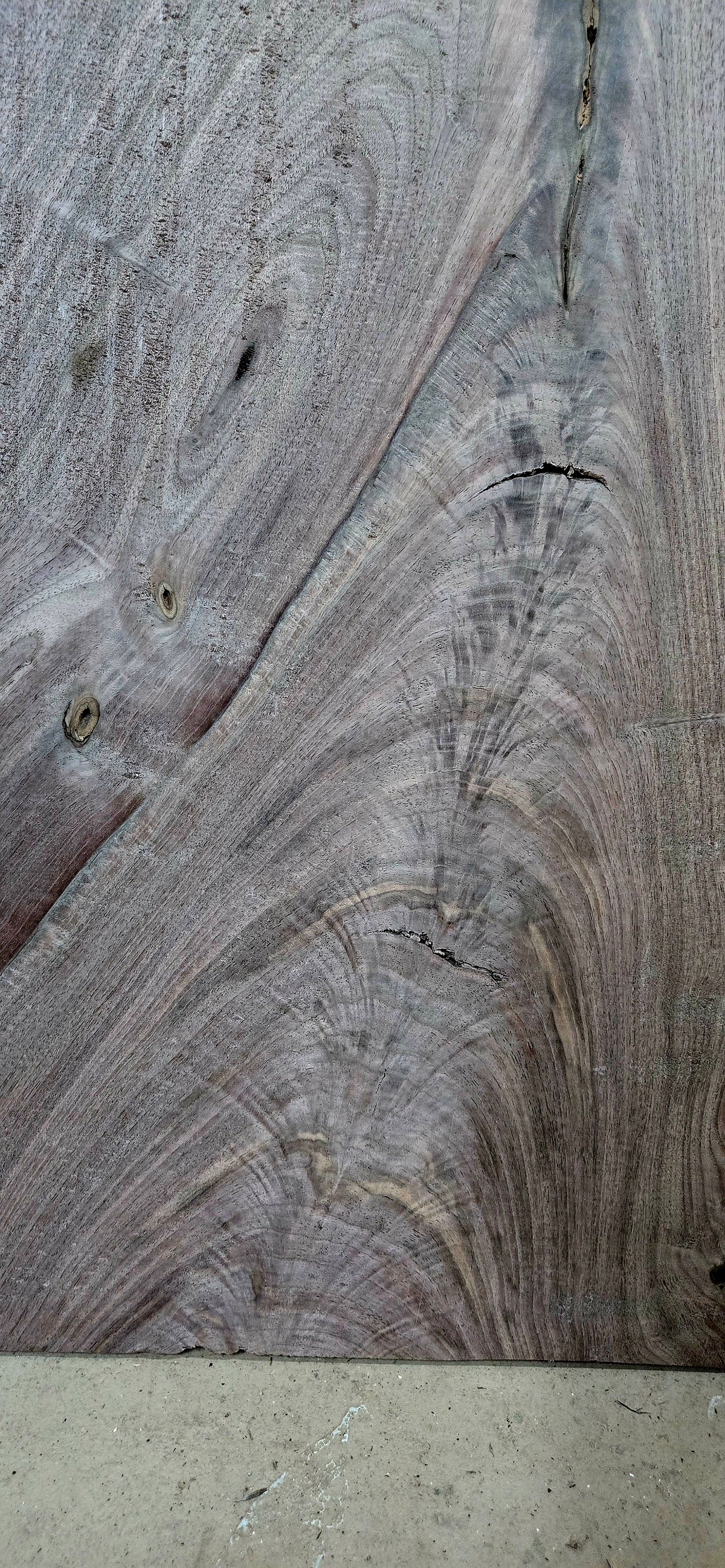Walnut live edge slab #1773, view 3