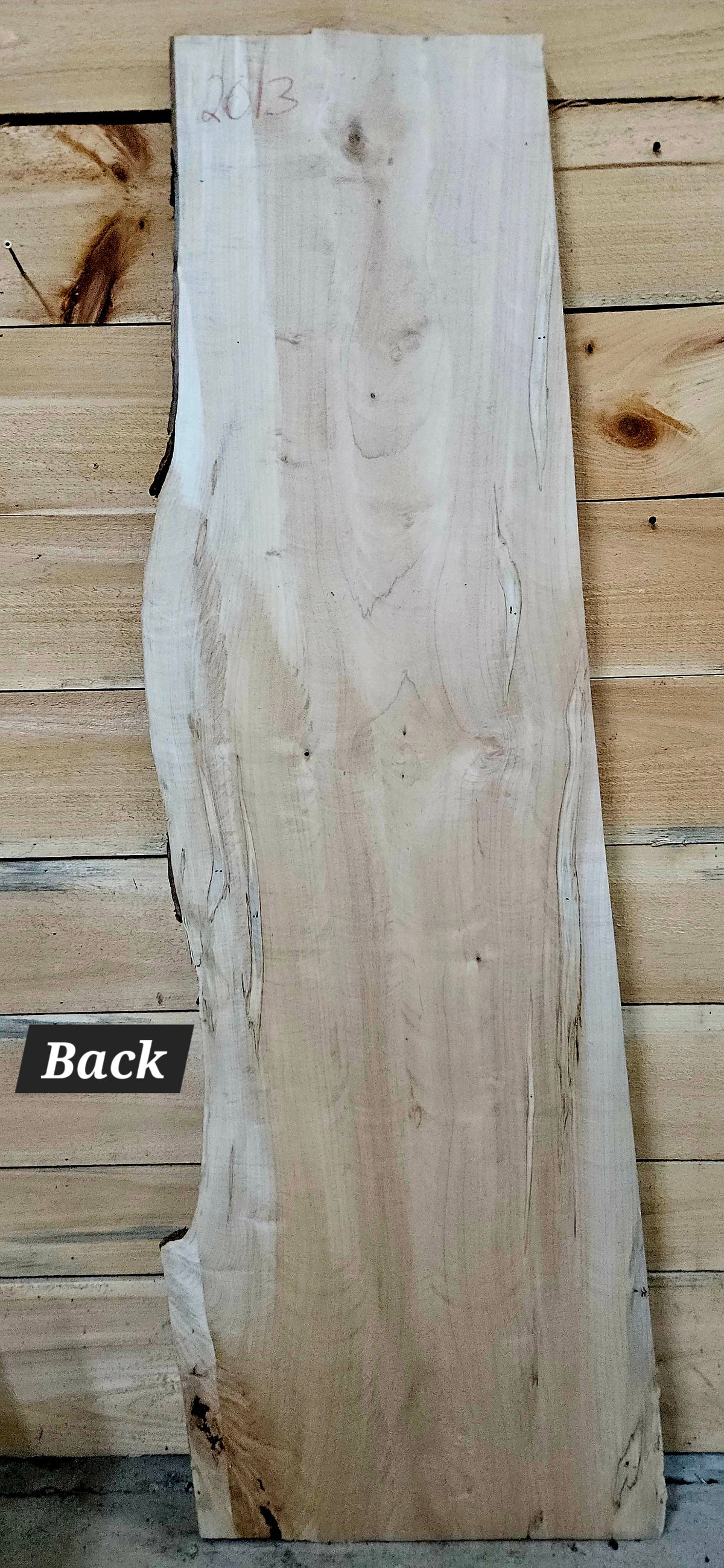 2013 Curly Ambrosia Maple Live Edge Slab – 66" × 20" × 6/4"