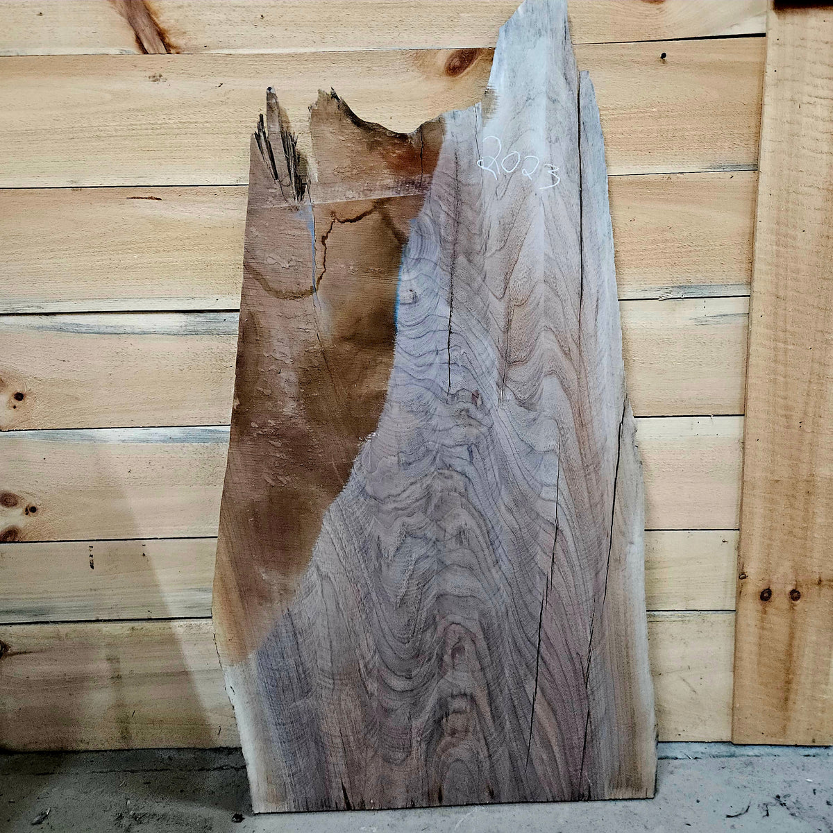 2023 Walnut Live Edge Slab – 41" × 23 - 27" × 9/4"