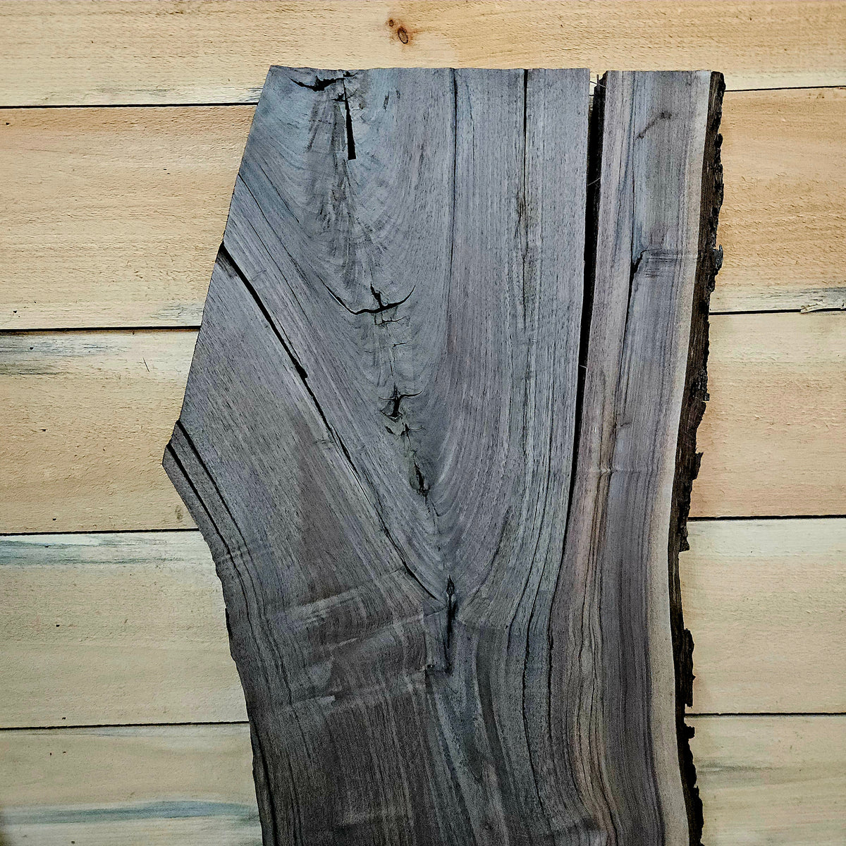 1946 Walnut Live Edge Slab – 40" × 15 -18" × 6/4"