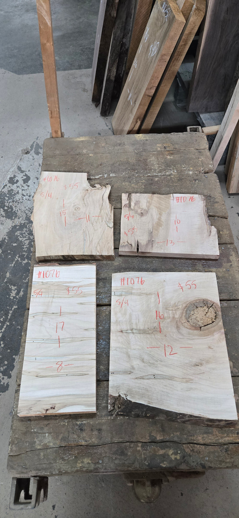 1076 Curly ambrosia Maple DIY bundle