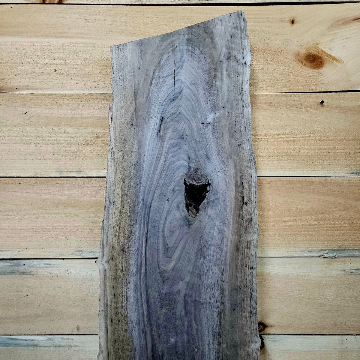 1955 Walnut Live Edge Slab – 53" 10 - 11" × 8/4"