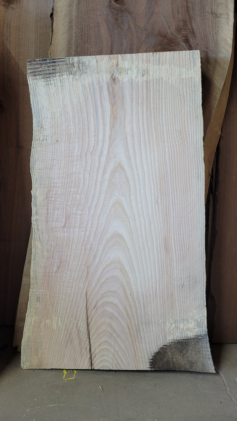 867 Ash live edge slab