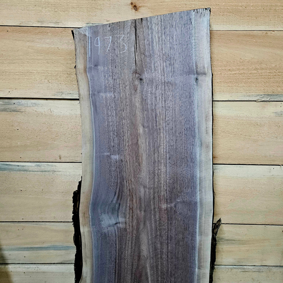 1973 Walnut Live Edge Slab – 41" × 14" × 7/4"