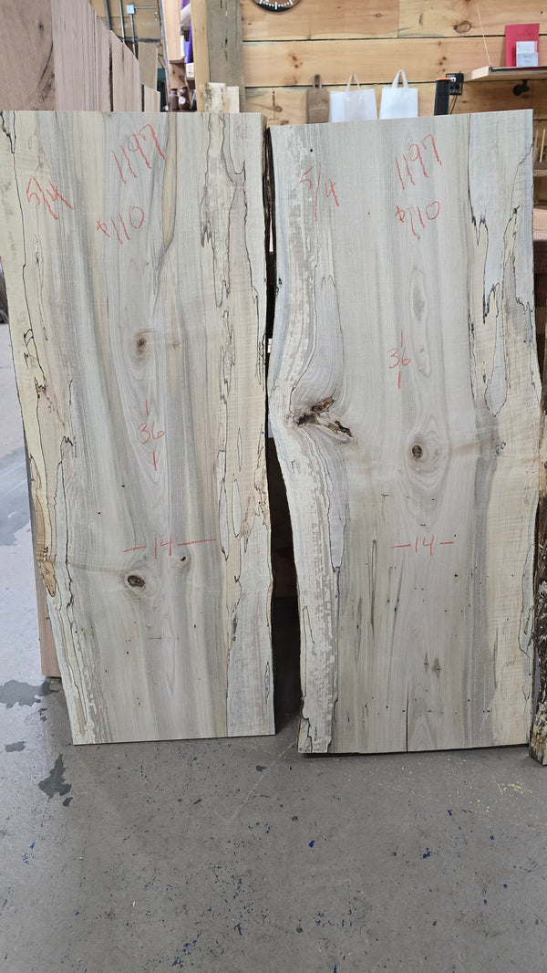 1197 Ambrosia Spalted Maple DIY Bundle