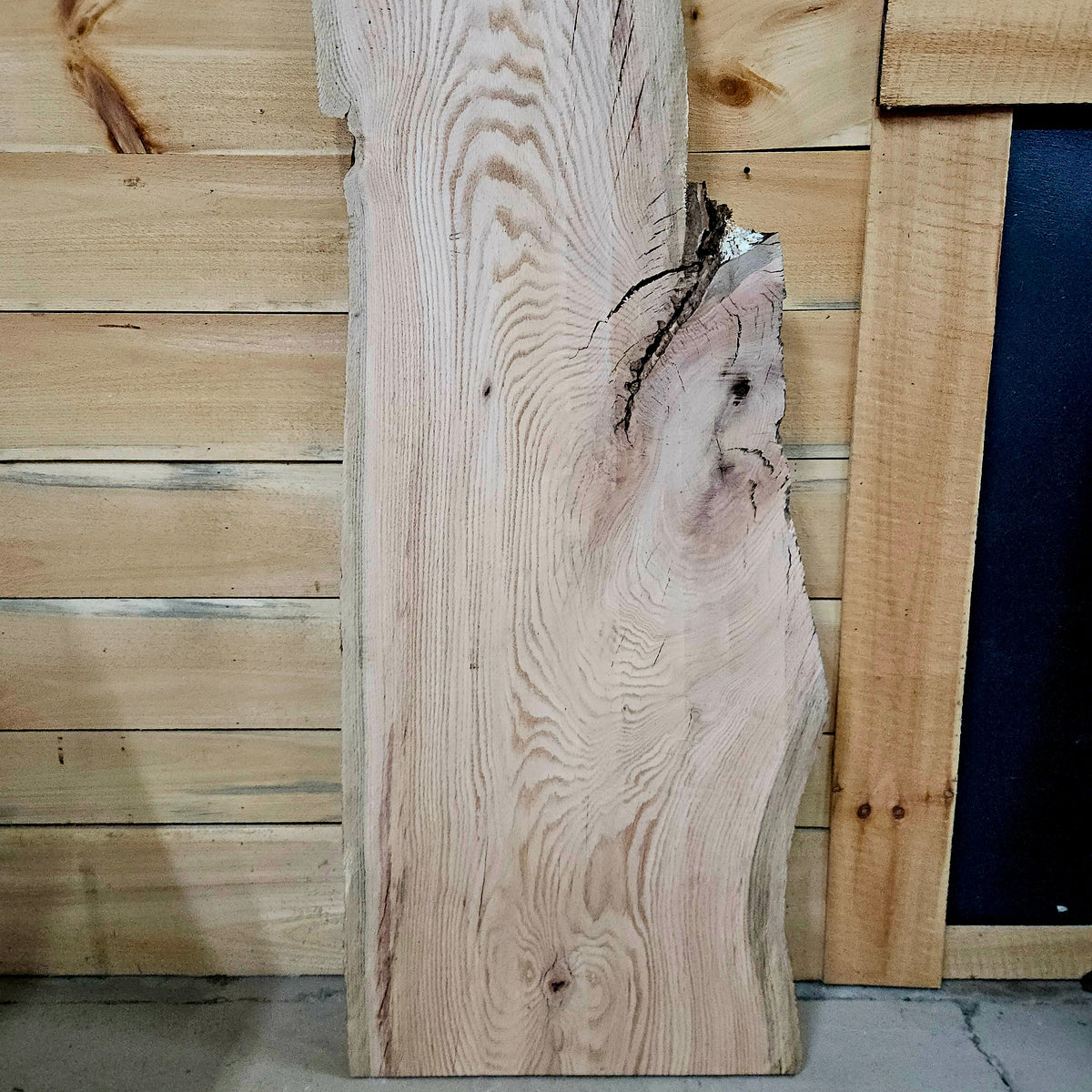 2029 Red Oak Live Edge Slab – 77" × 10–18" × 8/4"