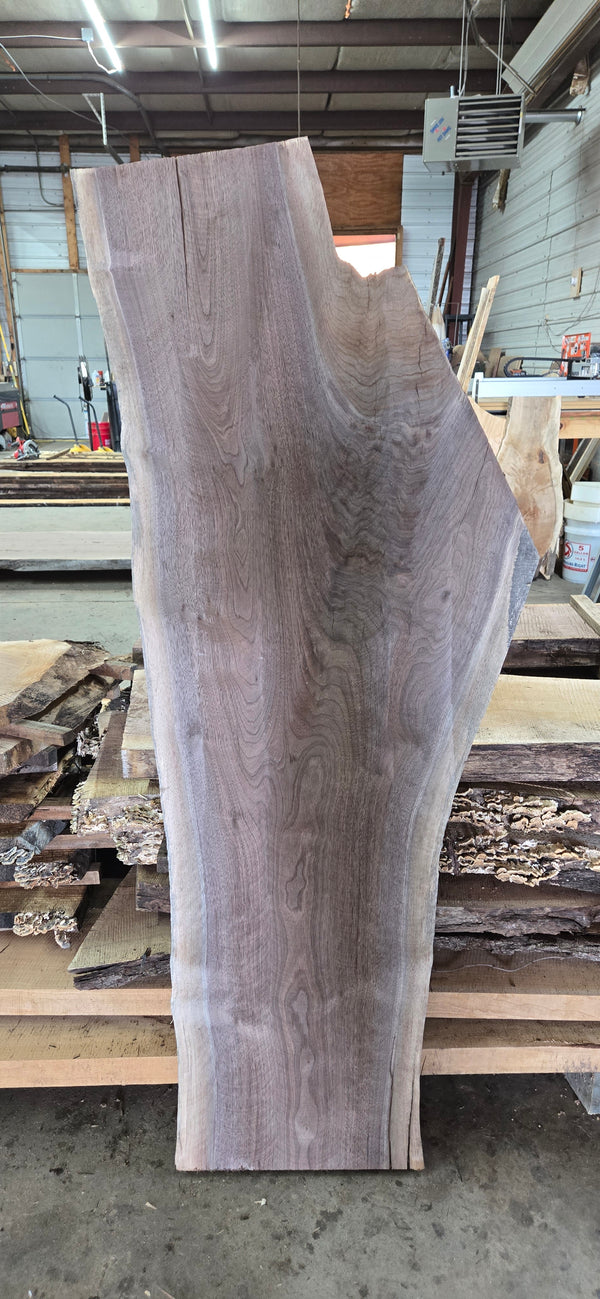 1282 Walnut Slab