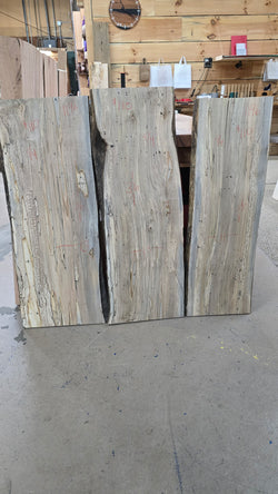 1196 Ambrosia Spalted Maple DIY Bundle