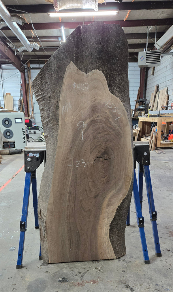 1557 Walnut Slab
