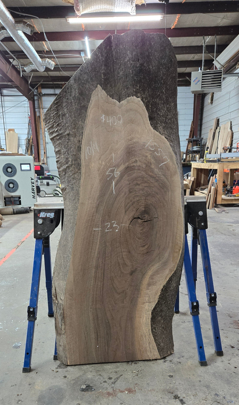 1557 Walnut Slab