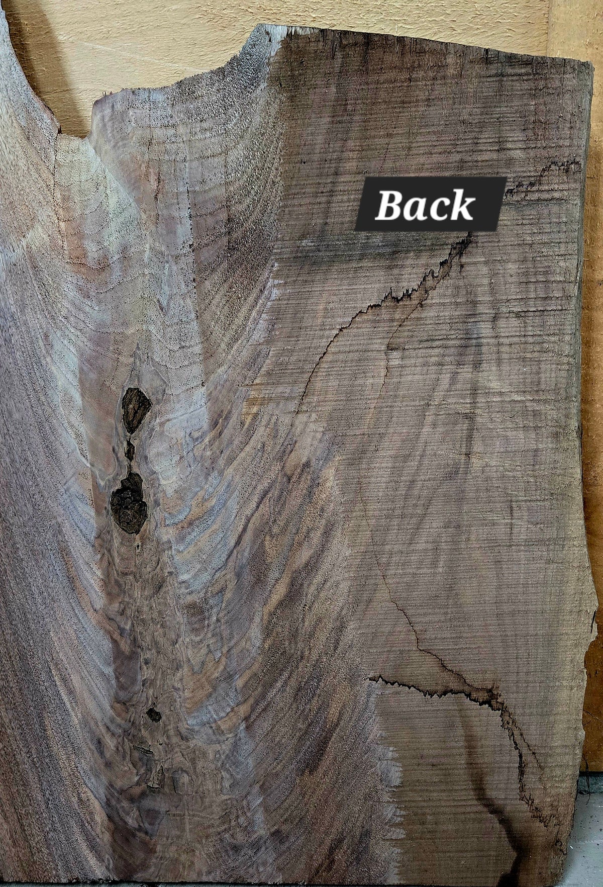 Walnut live edge slab #1820, view 4
