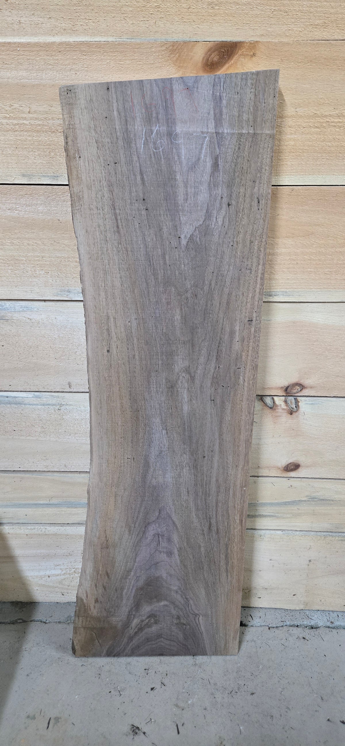 Walnut live edge slab #1697, view 2