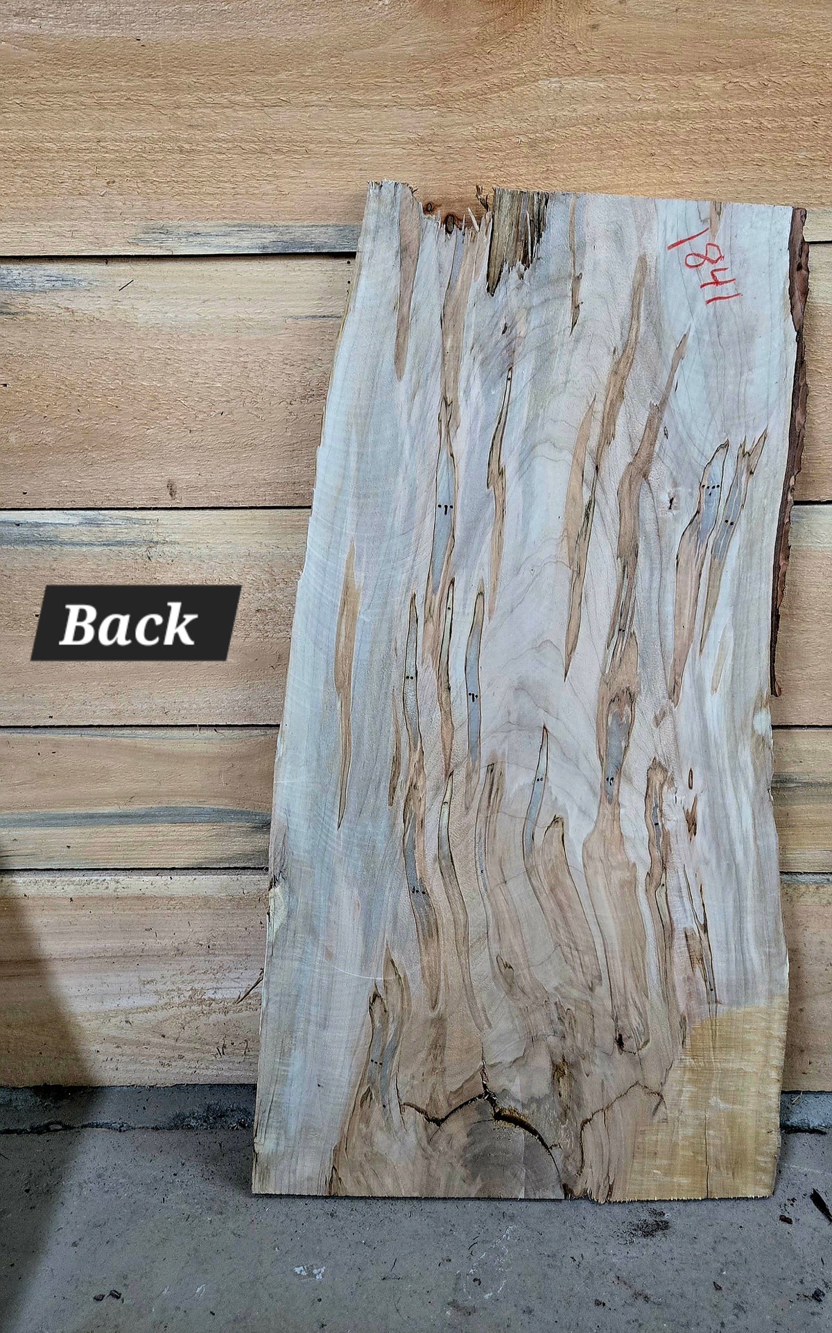 Curly Spalted Ambrosia Maple live edge slab #1841, view 3