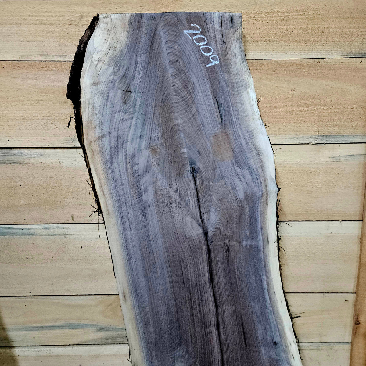 2009 Walnut Live Edge Slab – 44" × 16" × 7/4"