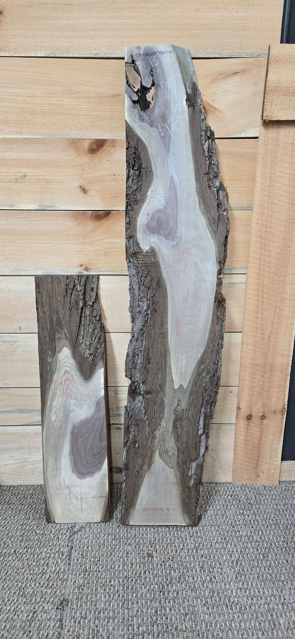 1529 Walnut DIY Bundle