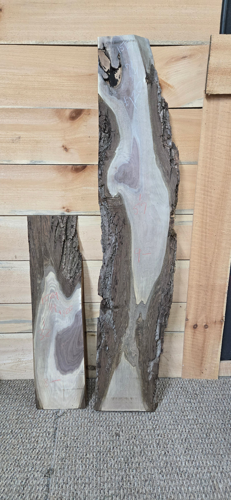 1529 Walnut DIY Bundle