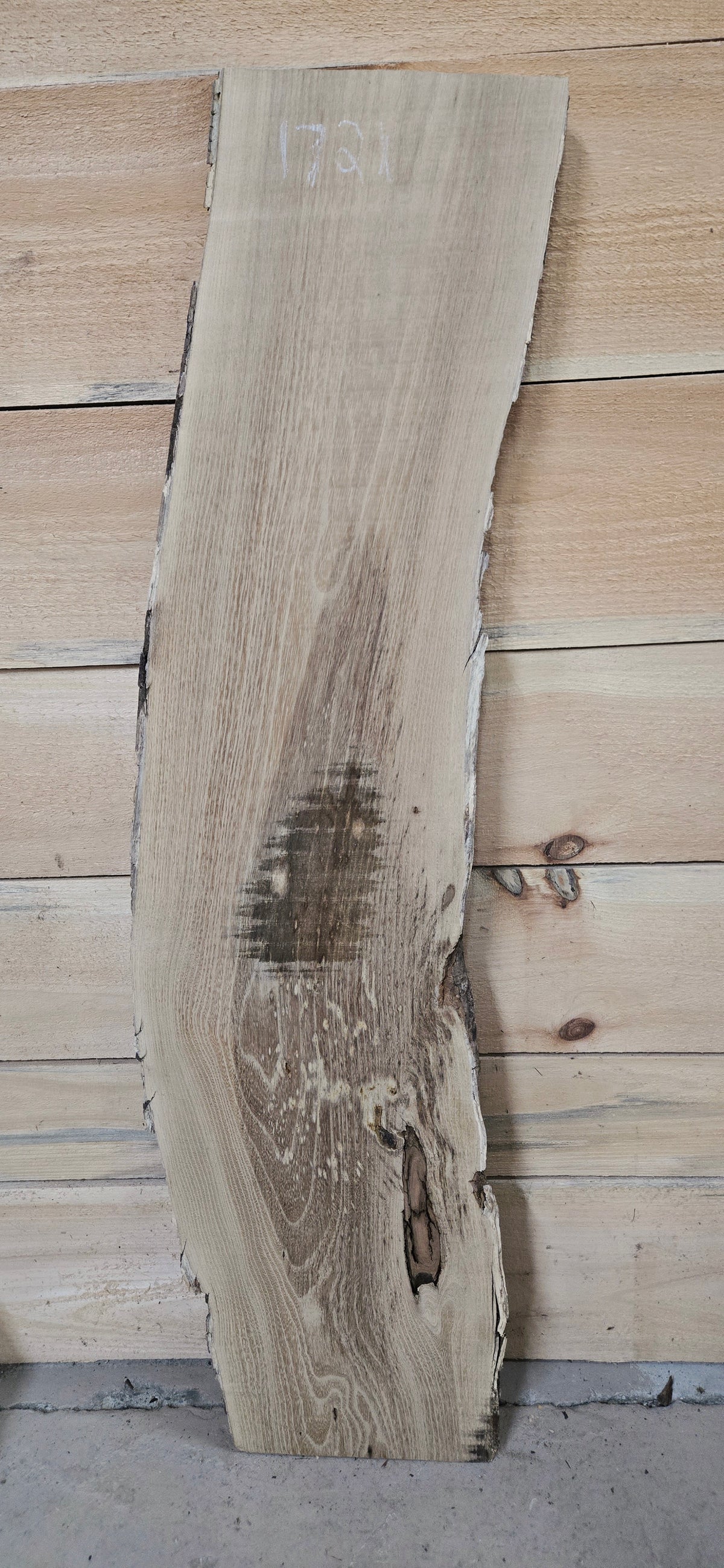 Black Locust live edge slab #1721, view 2