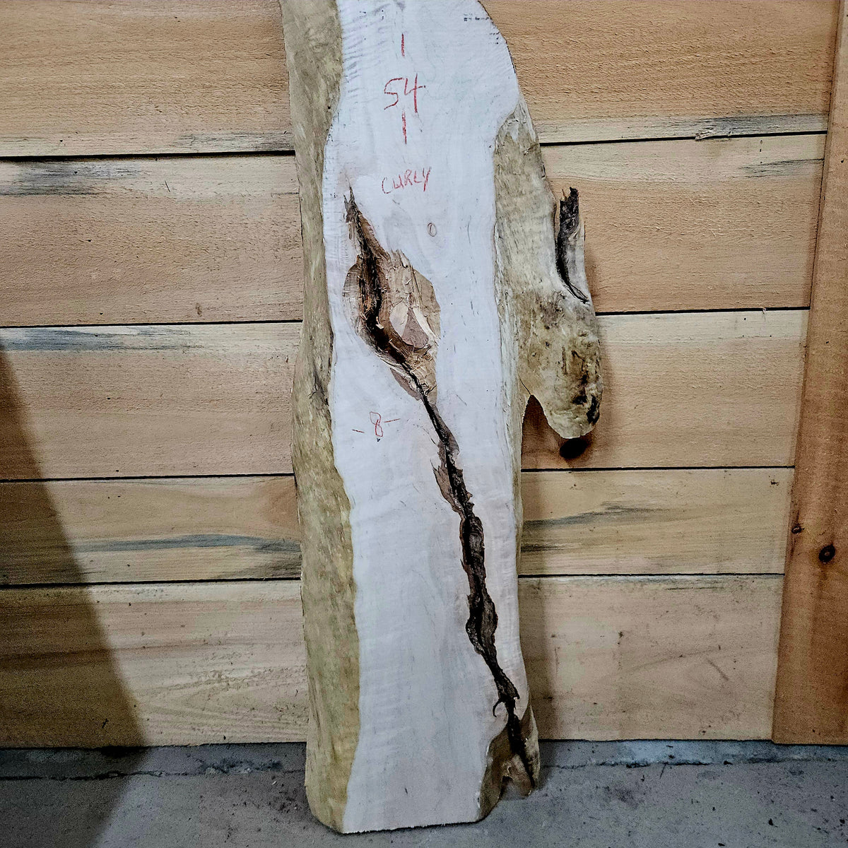 1957 Curly Maple Live Edge Slab – 54" x 8" × 6/4"