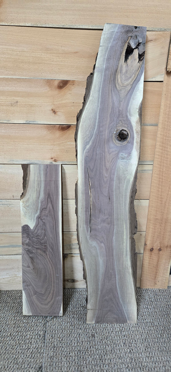 1529 Walnut DIY Bundle