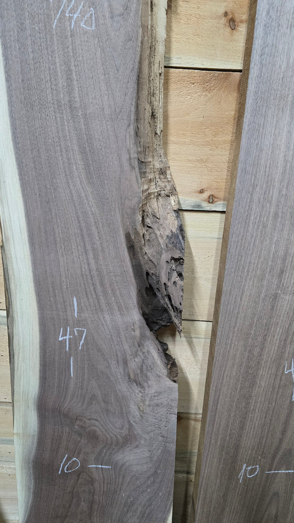 1503 Walnut DIY Bundle