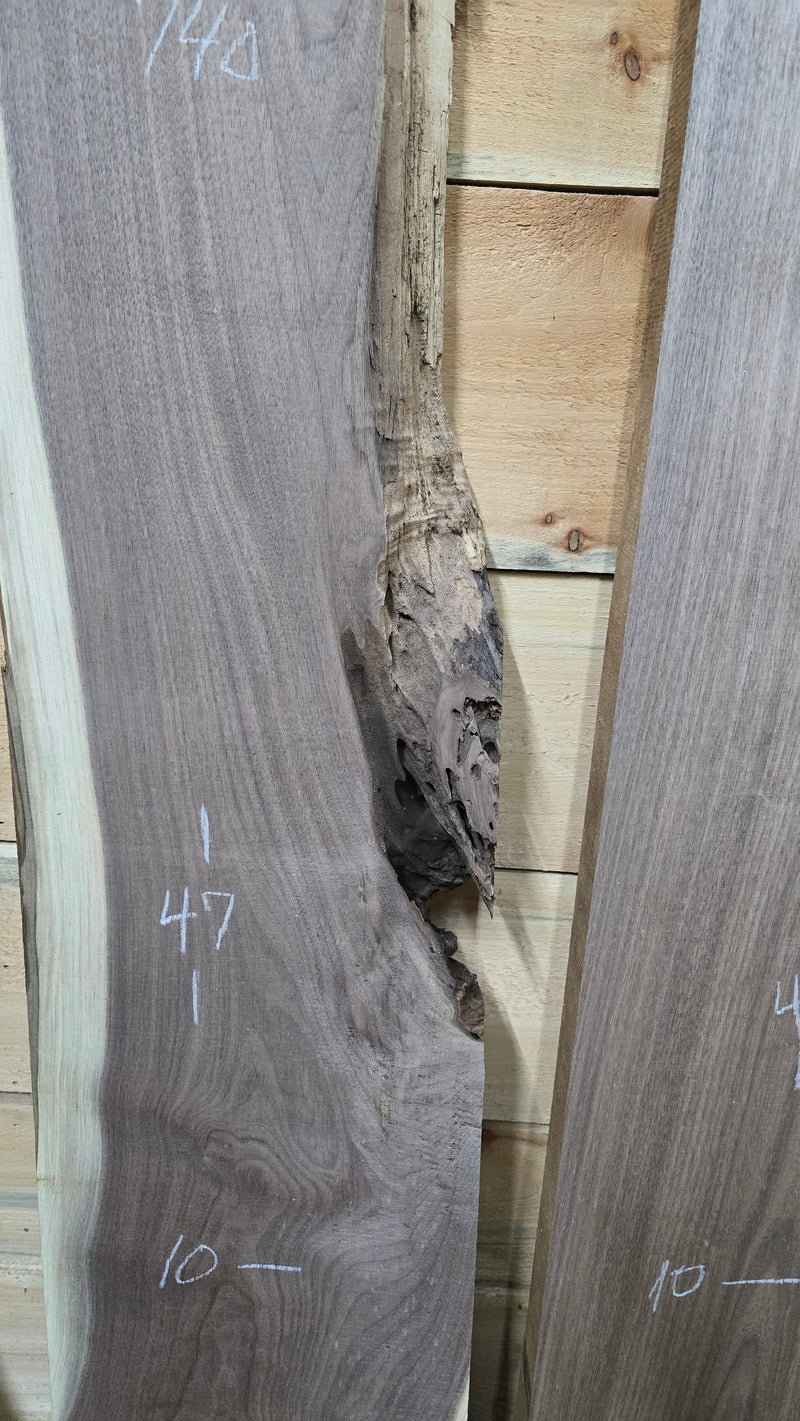 1503 Walnut DIY Bundle