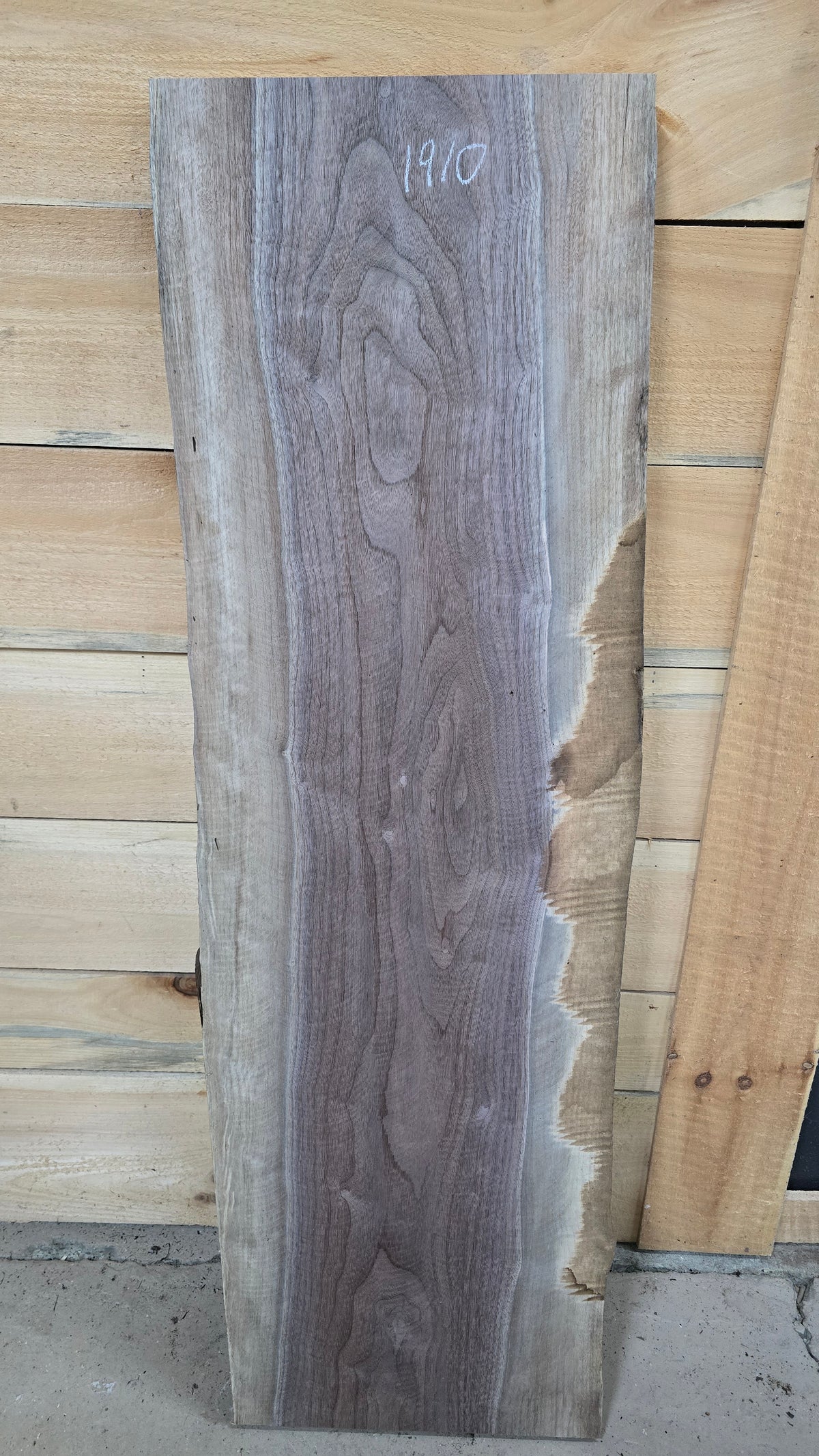 1910 Walnut Live Edge Slab – 52" × 14" × 7/4" – product image 2