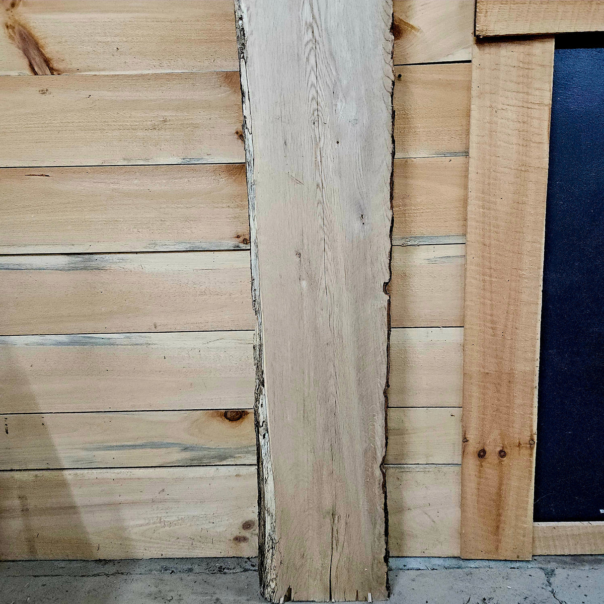 2014 White Oak Live Edge Slab – 83" × 12" × 9/4"