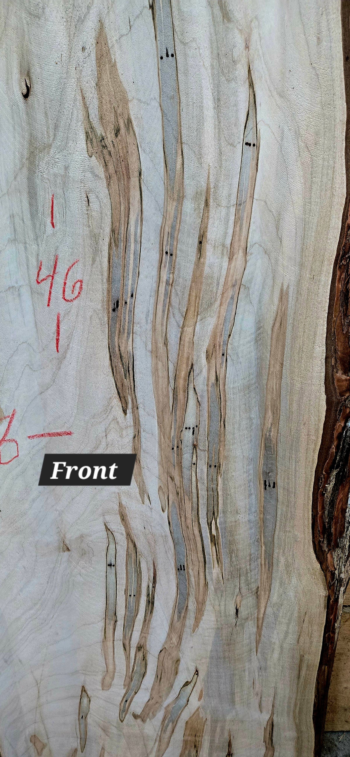 Curly Spalted Ambrosia Maple live edge slab #1840, view 2
