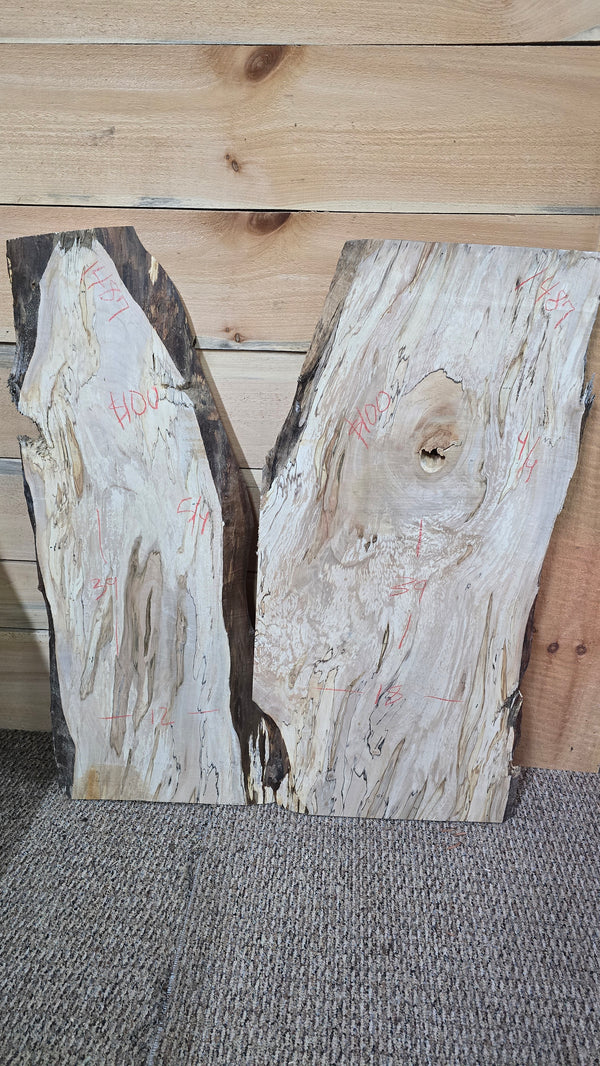 1487 Maple curly ambrosia slab