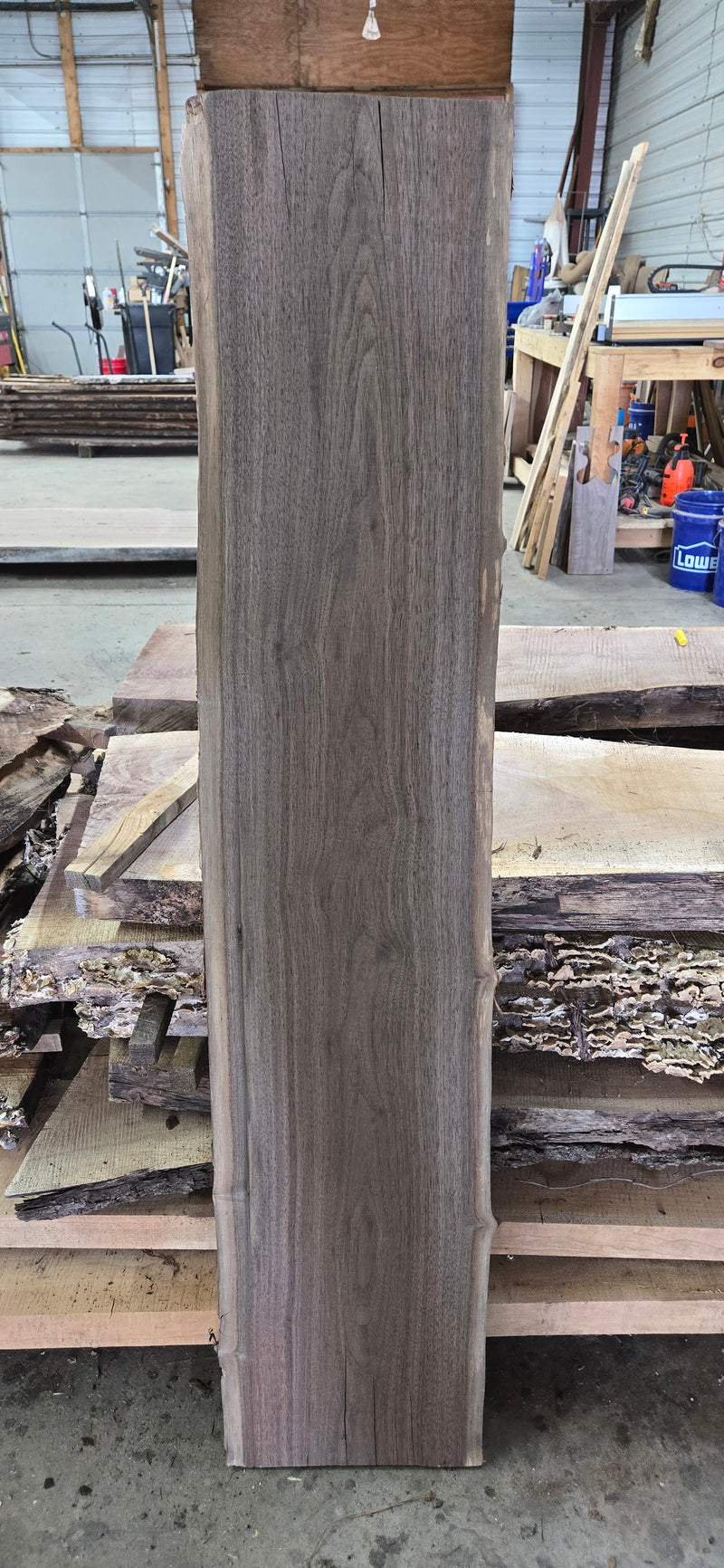 1261 Walnut Slab